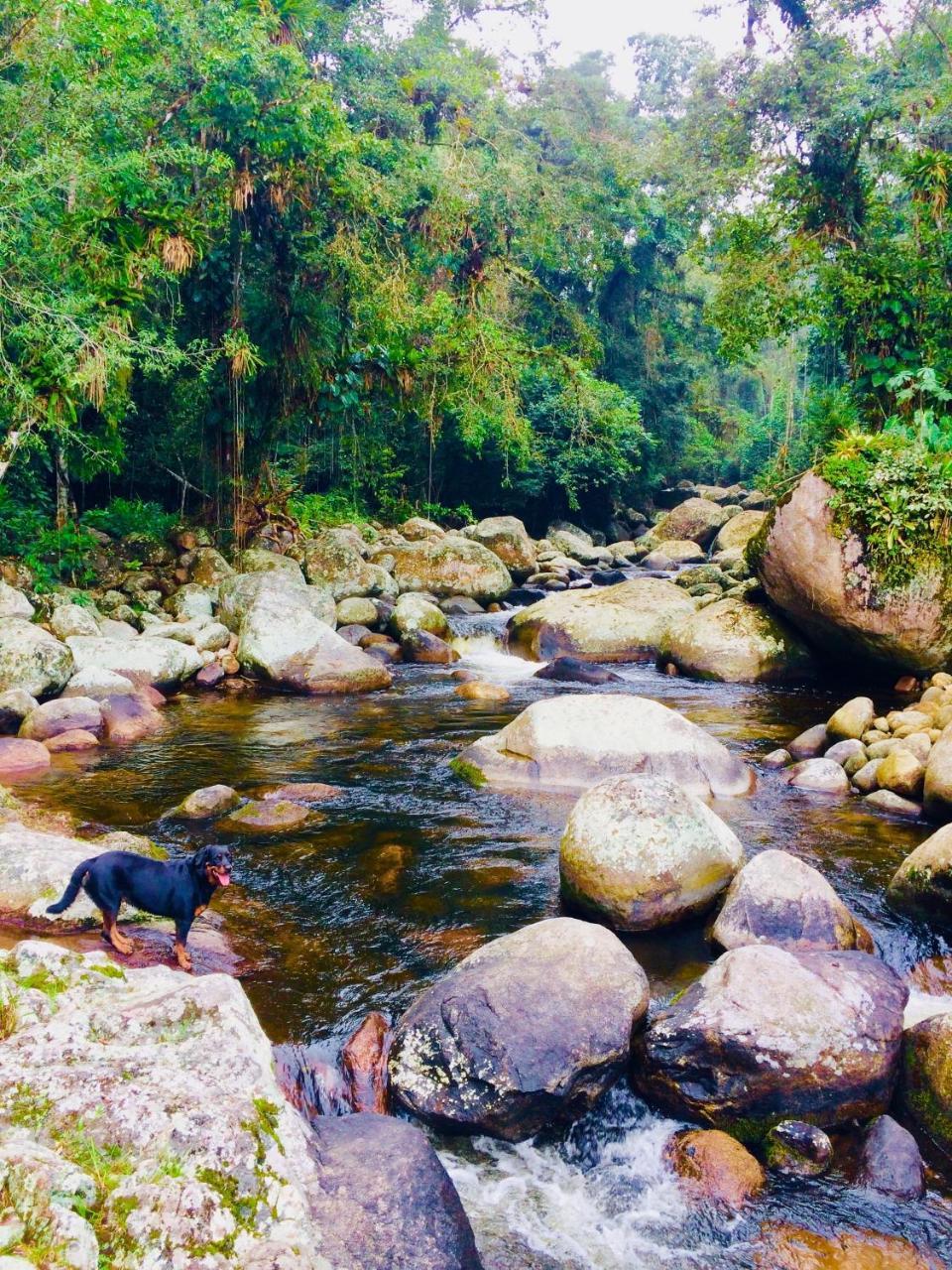 Eco Chalés Caminho das Águas Barra Grande  Exterior foto